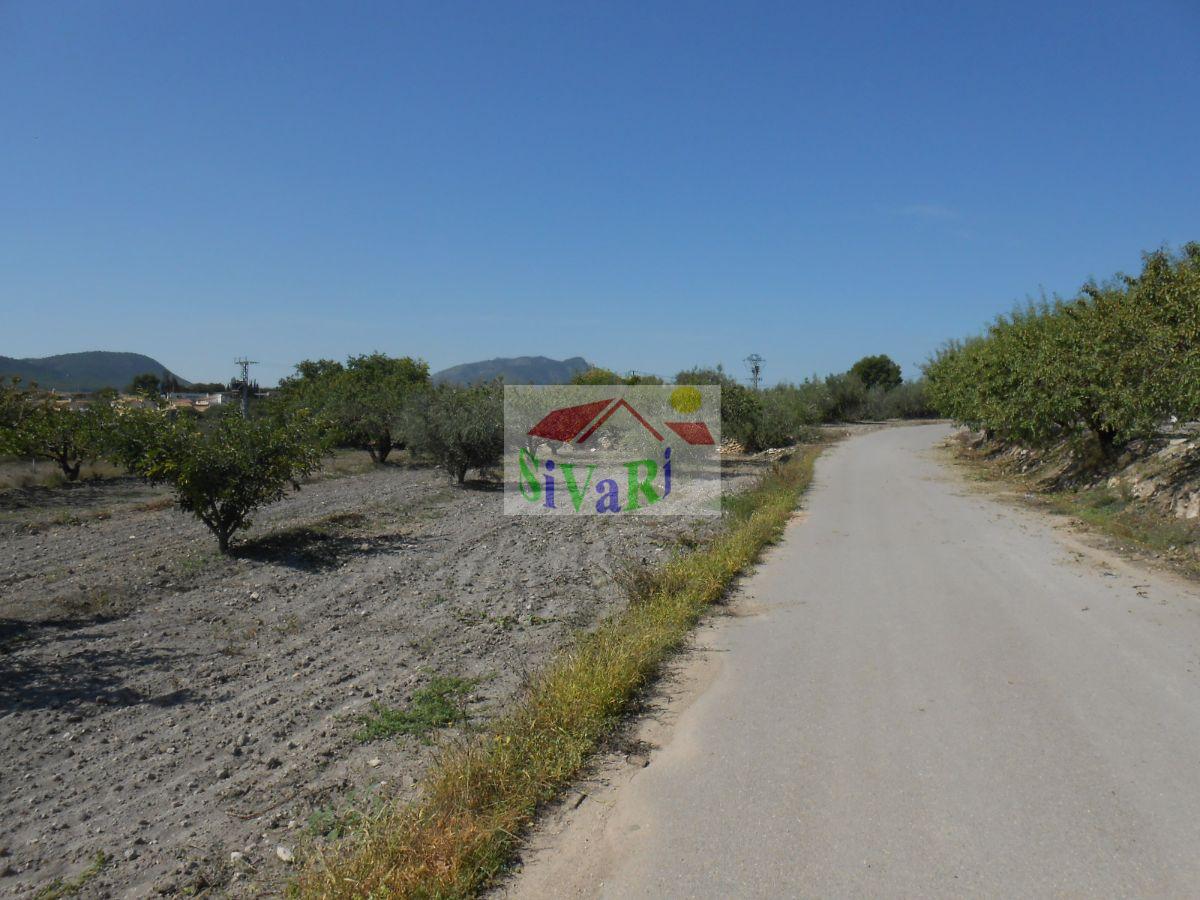 For sale of land in Caravaca de la Cruz