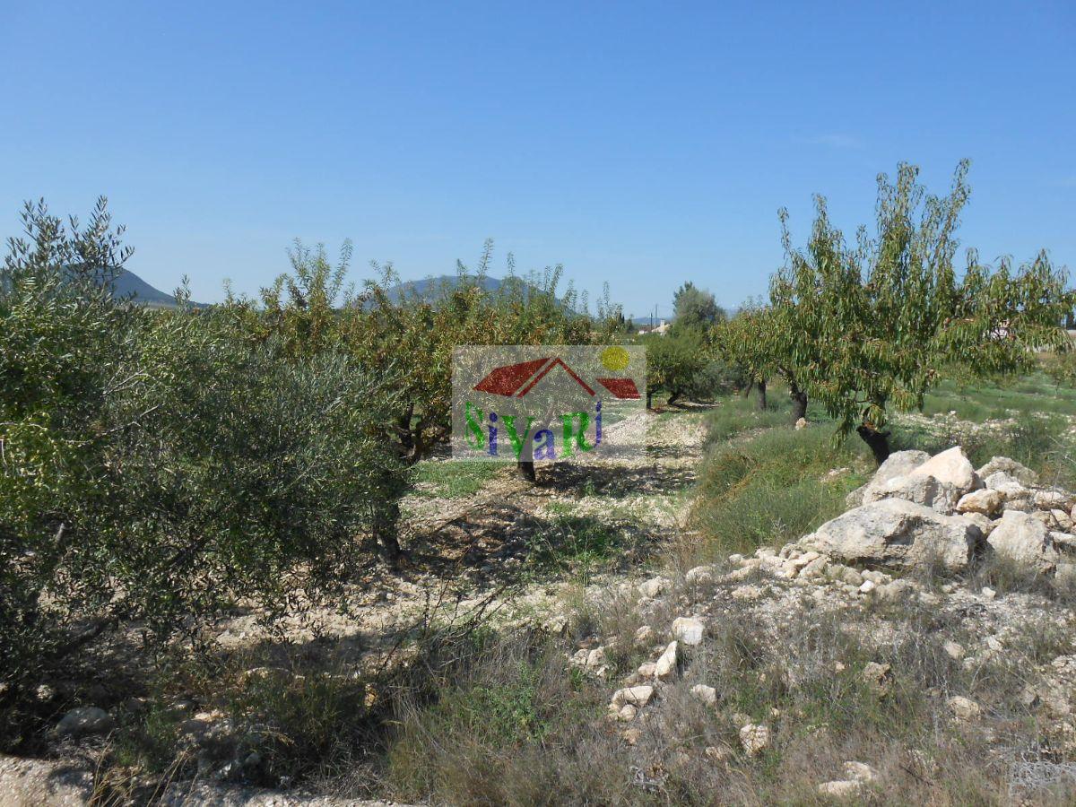 For sale of land in Caravaca de la Cruz