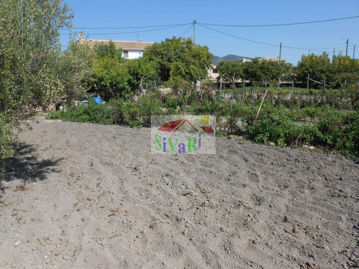 For sale of land in Caravaca de la Cruz