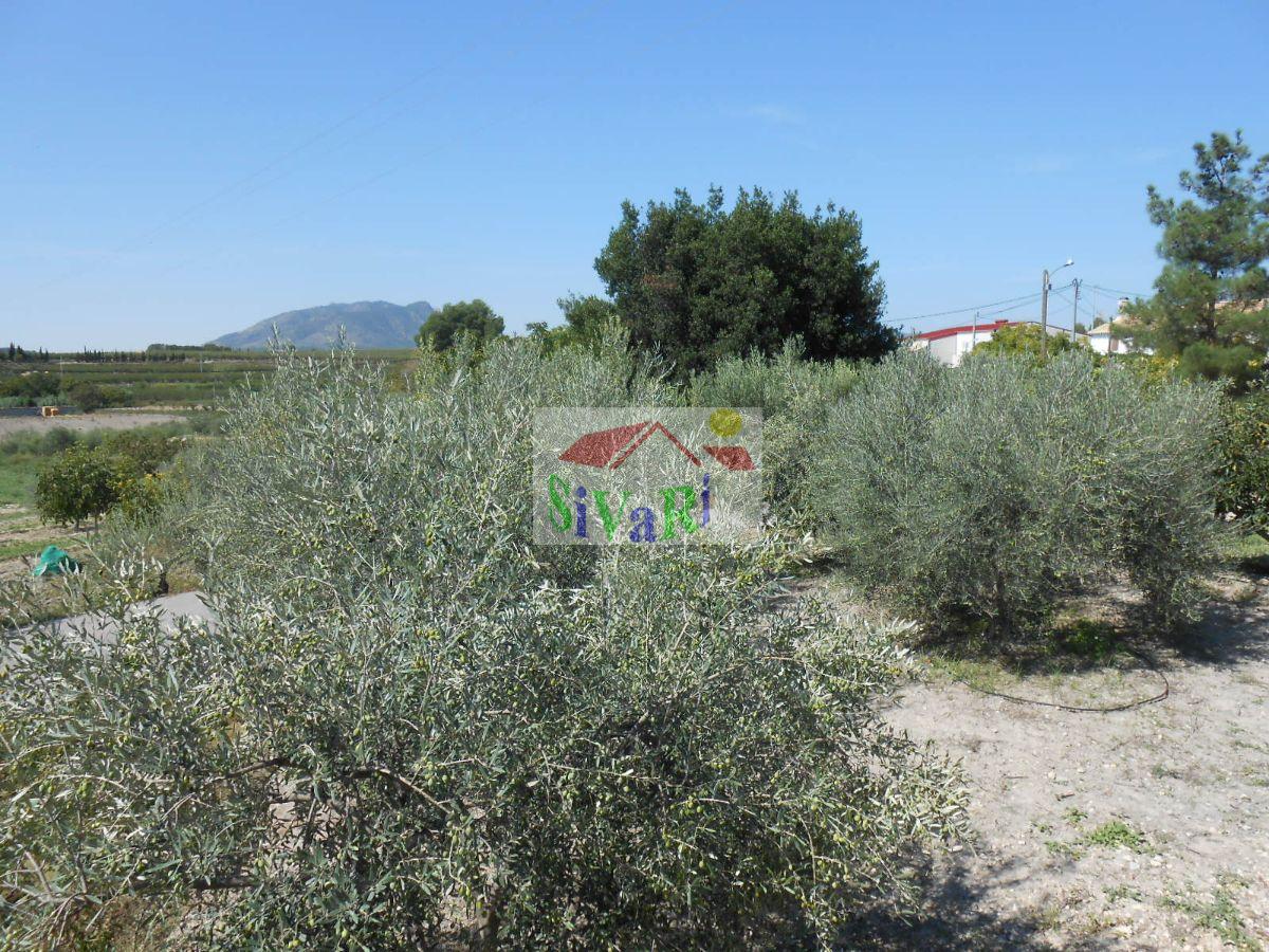 For sale of land in Caravaca de la Cruz