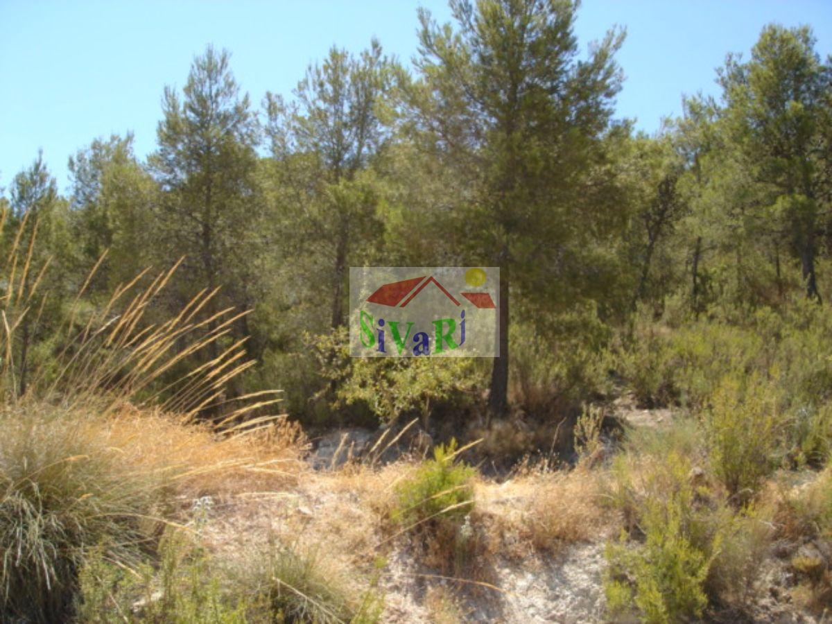 For sale of land in Ricote