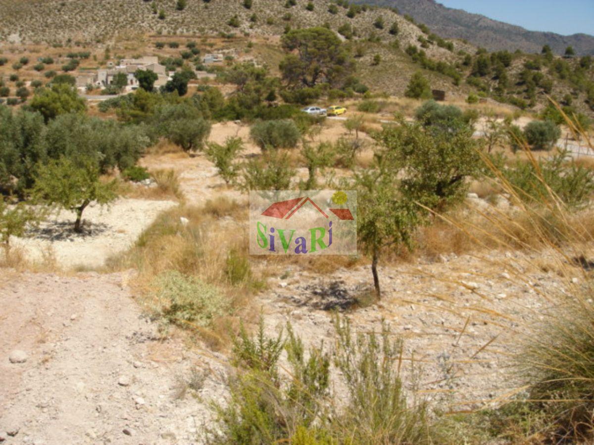 For sale of land in Ricote