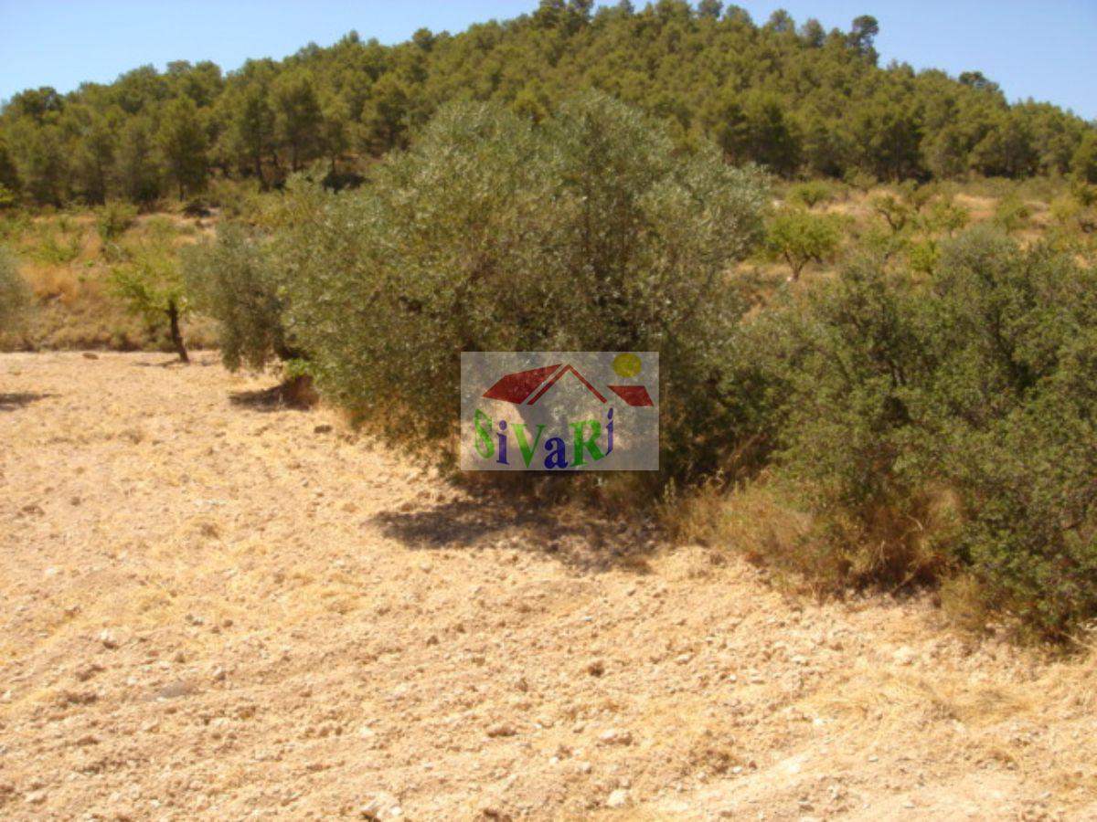 For sale of land in Ricote