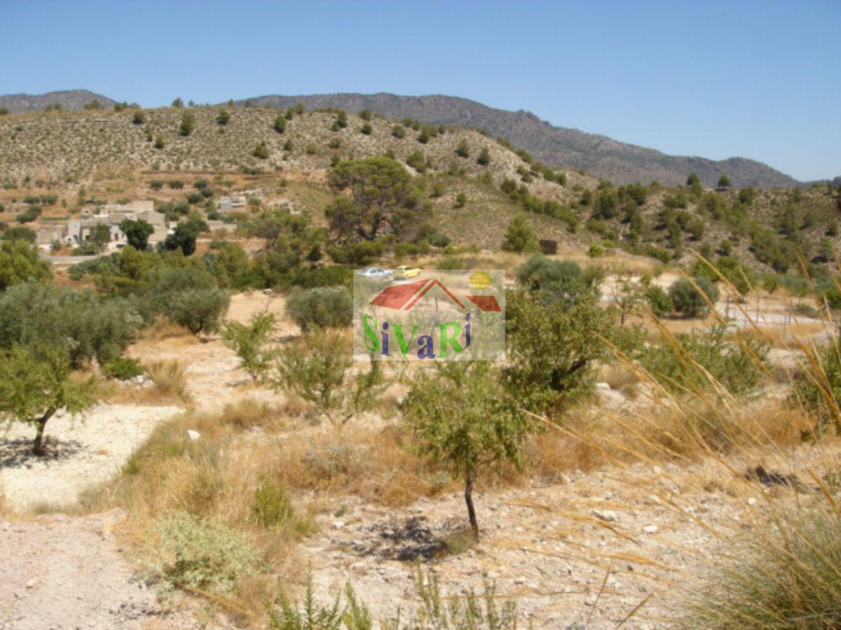 For sale of land in Ricote