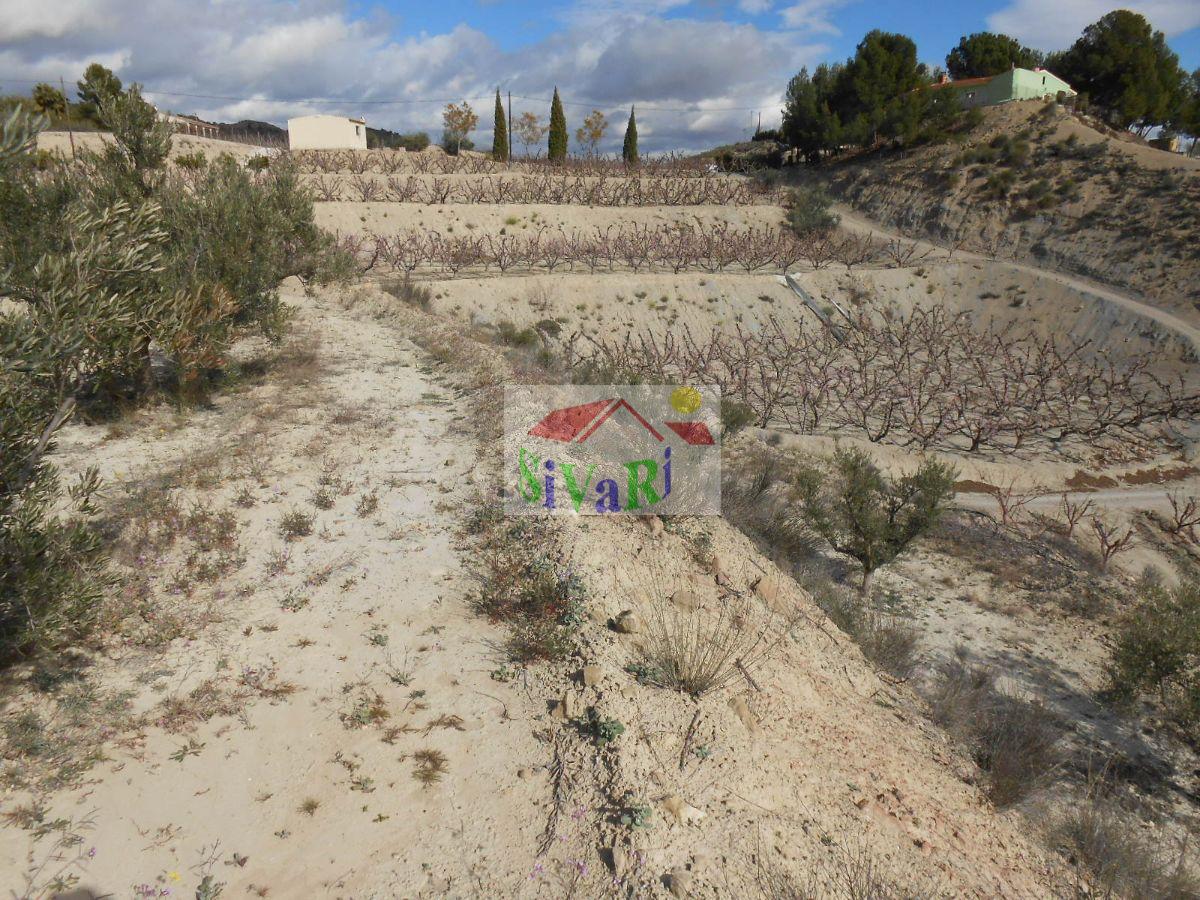 For sale of land in Abarán