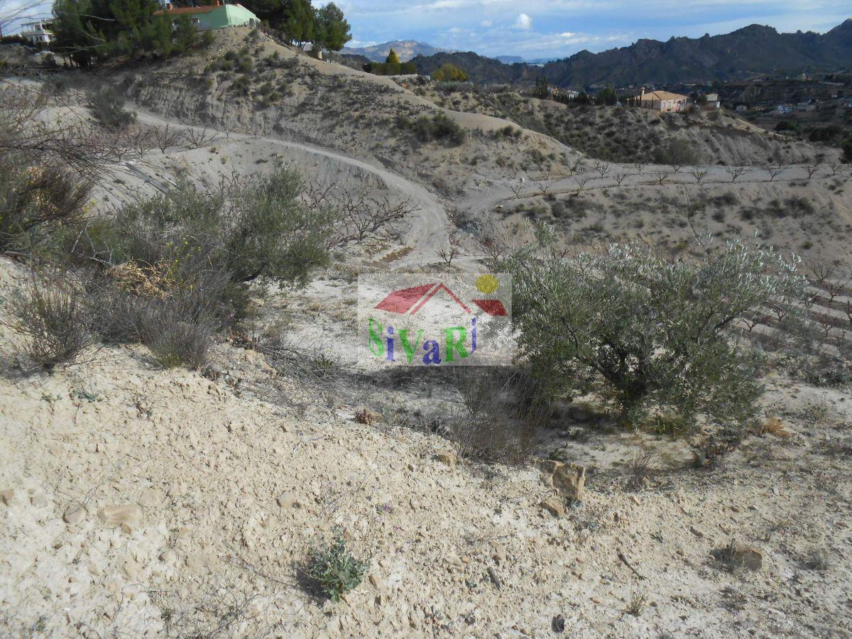 For sale of land in Abarán