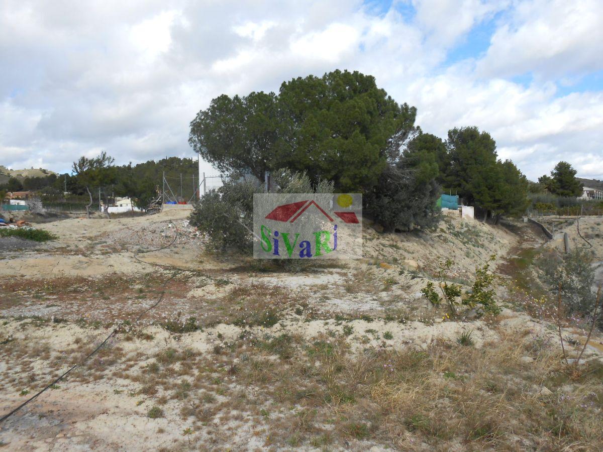 For sale of land in Abarán