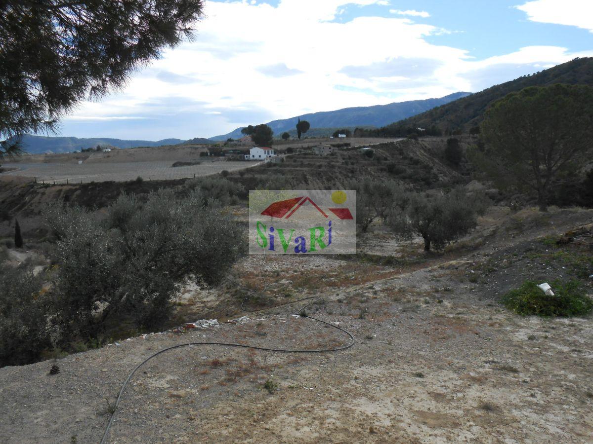 For sale of land in Abarán