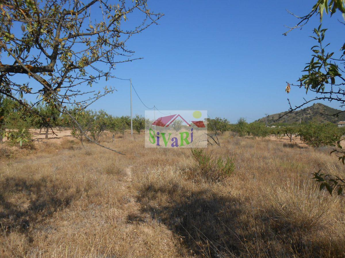 For sale of land in Ricote