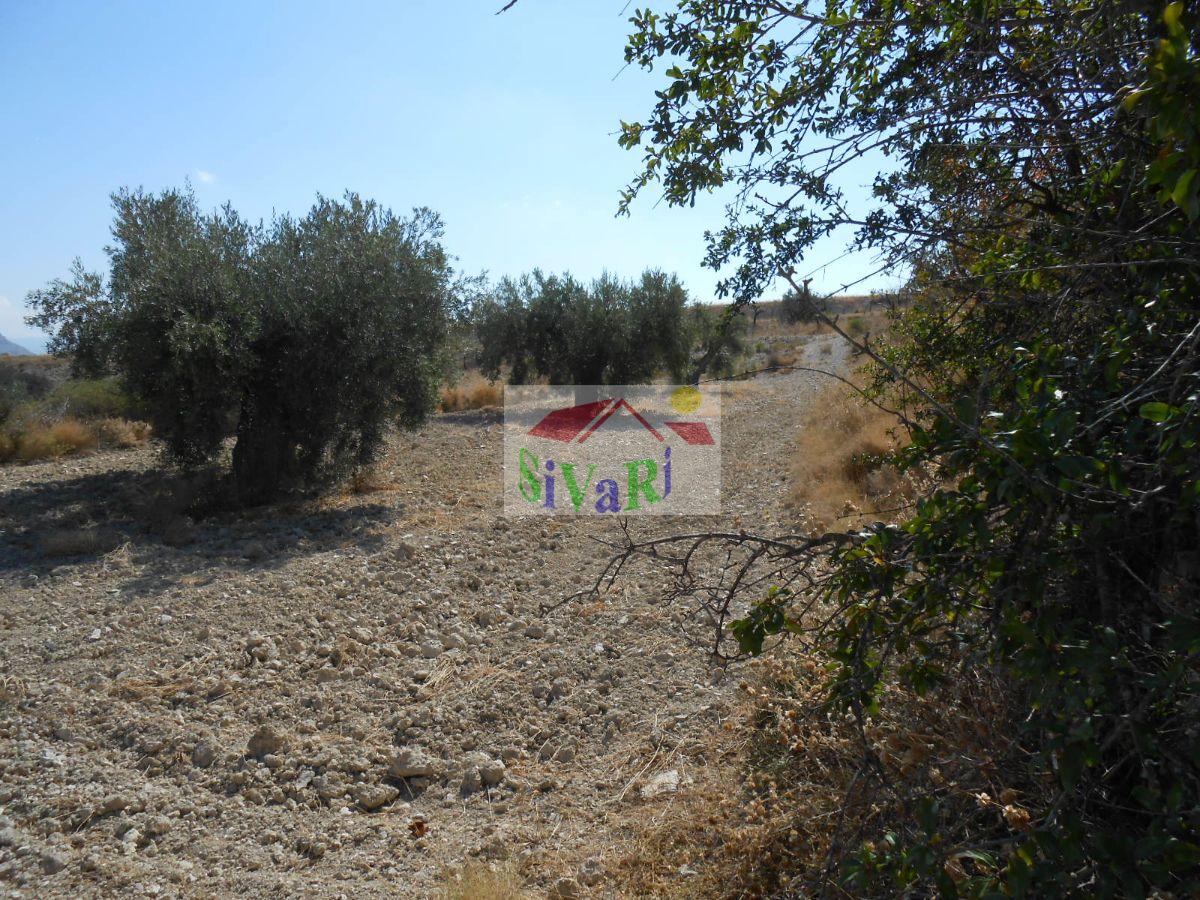 Venta de terreno en Ricote