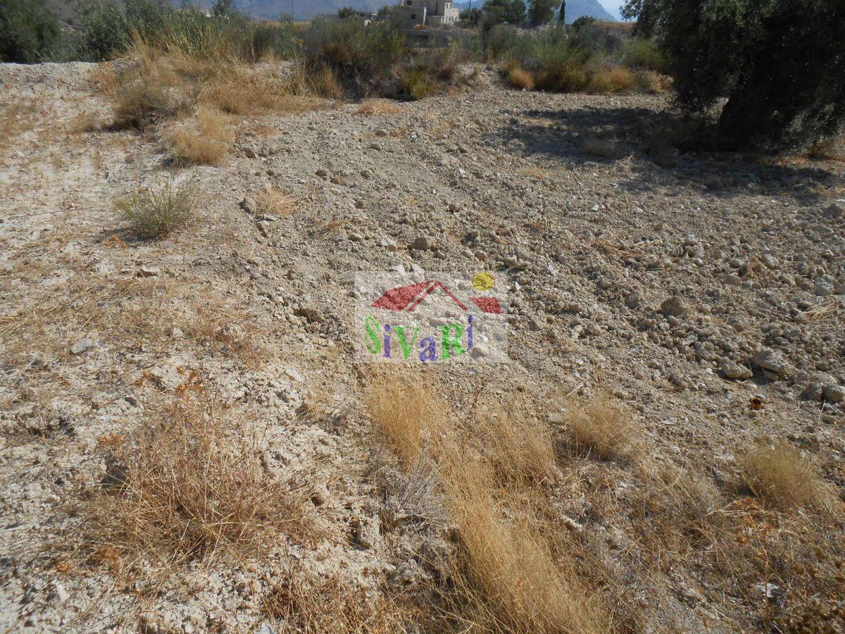 For sale of land in Ricote