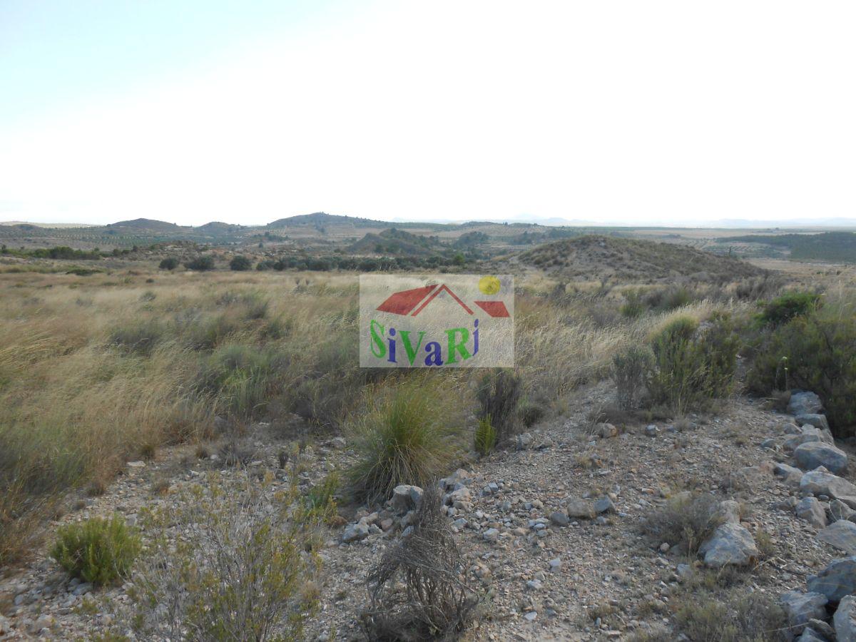 For sale of land in Cieza