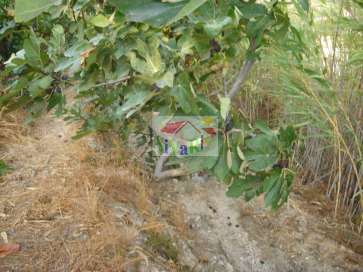 For sale of house in Abarán