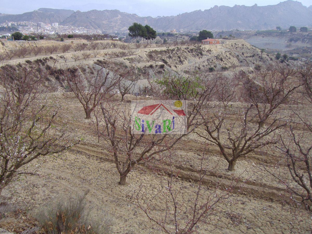 For sale of land in Abarán