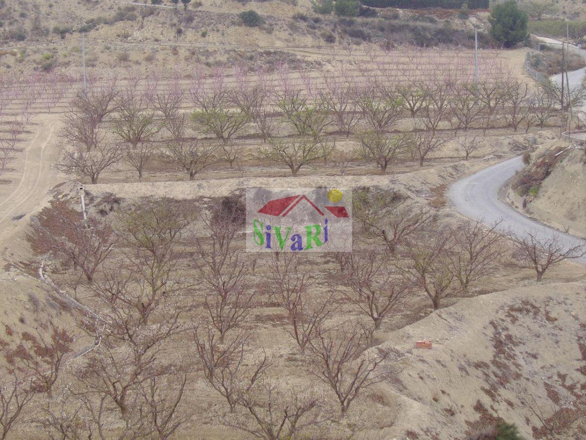 For sale of land in Abarán