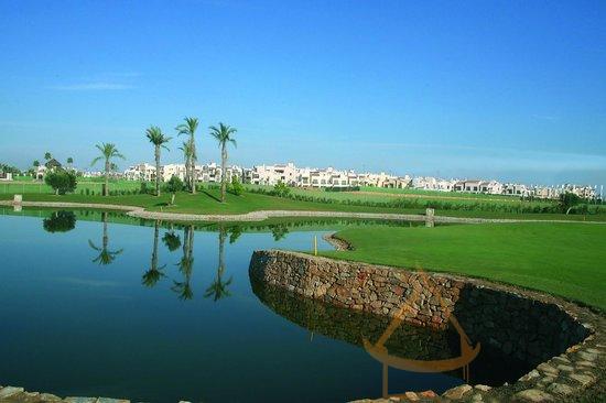 For sale of ground floor in San Javier