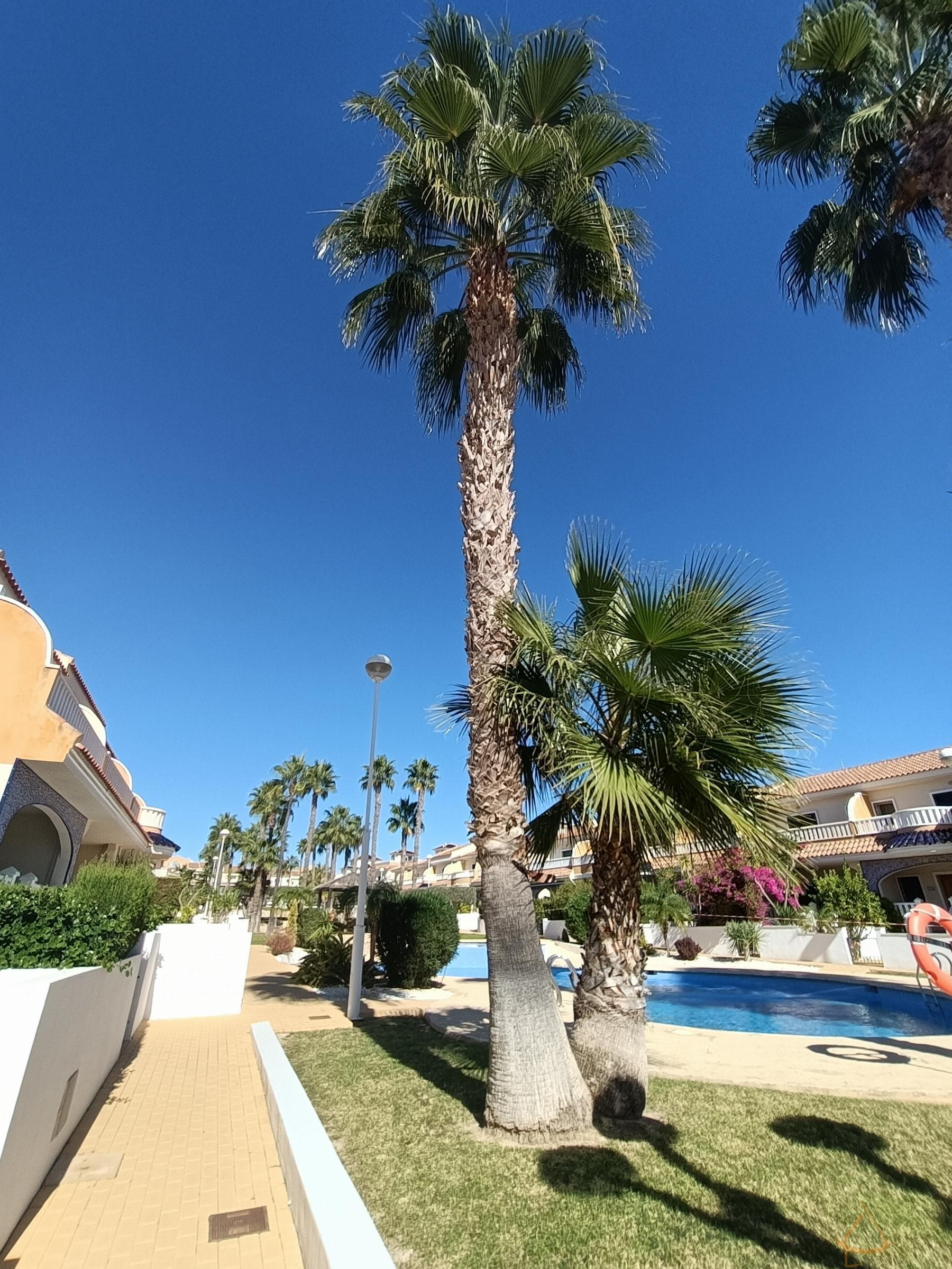 For sale of apartment in Rojales