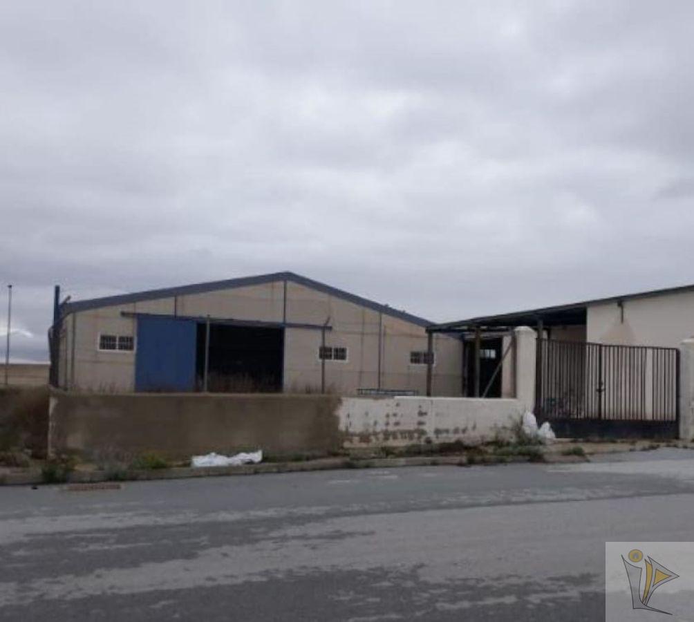 For sale of industrial plant/warehouse in Benamaurel