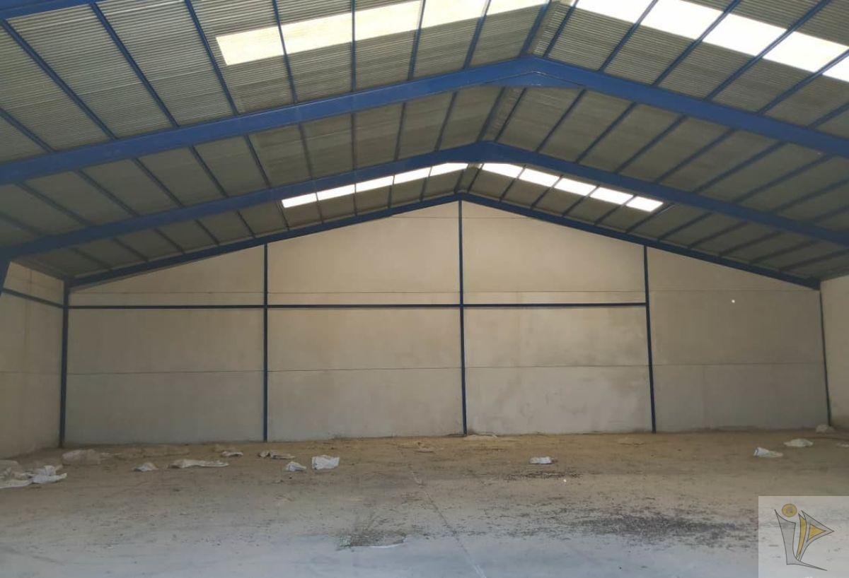 For sale of industrial plant/warehouse in Benamaurel