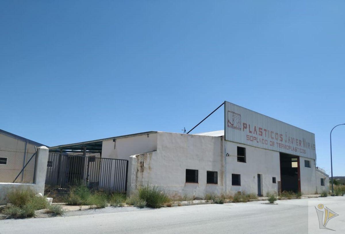 For sale of industrial plant/warehouse in Benamaurel