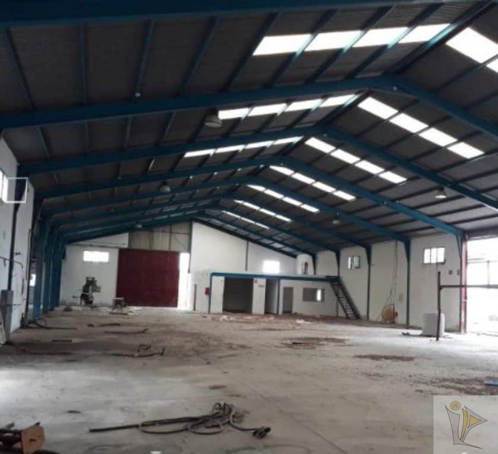 For sale of industrial plant/warehouse in Benamaurel