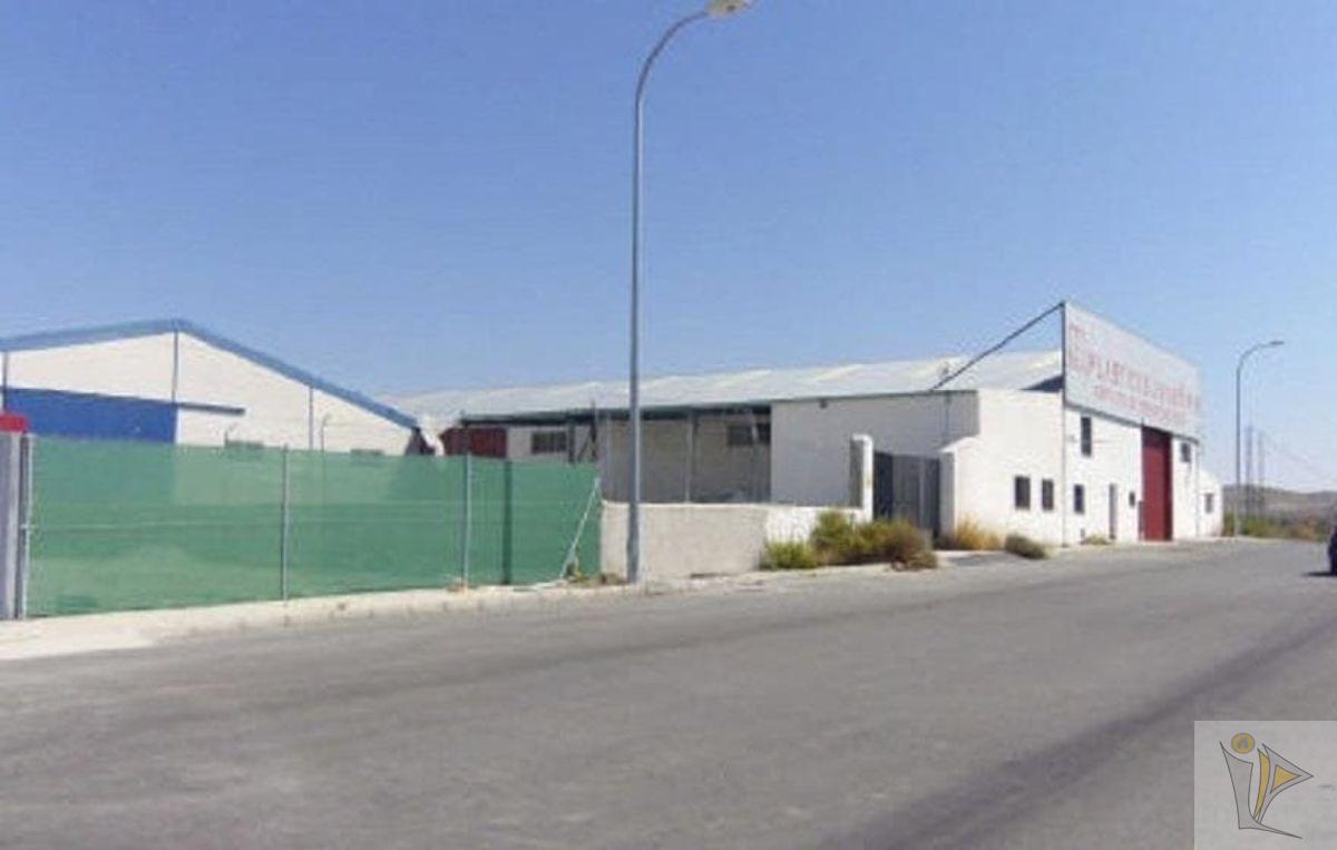 For sale of industrial plant/warehouse in Benamaurel