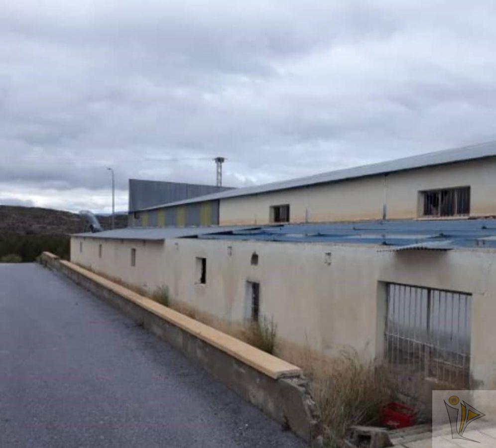 For sale of industrial plant/warehouse in Benamaurel