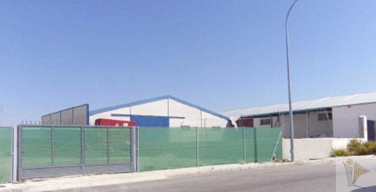 For sale of industrial plant/warehouse in Benamaurel