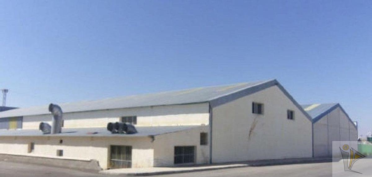 For sale of industrial plant/warehouse in Benamaurel