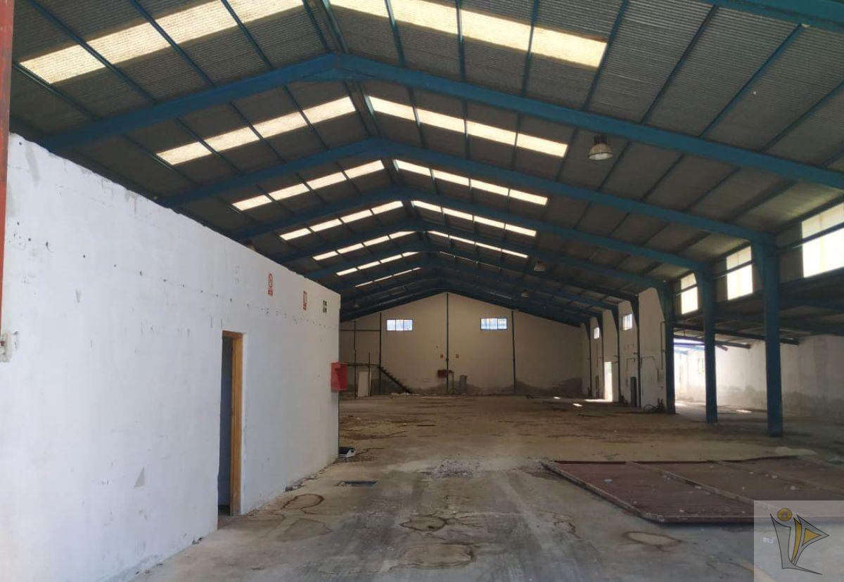 For sale of industrial plant/warehouse in Benamaurel