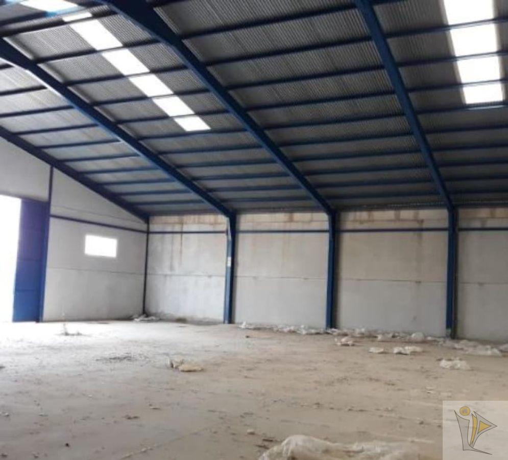 For sale of industrial plant/warehouse in Benamaurel