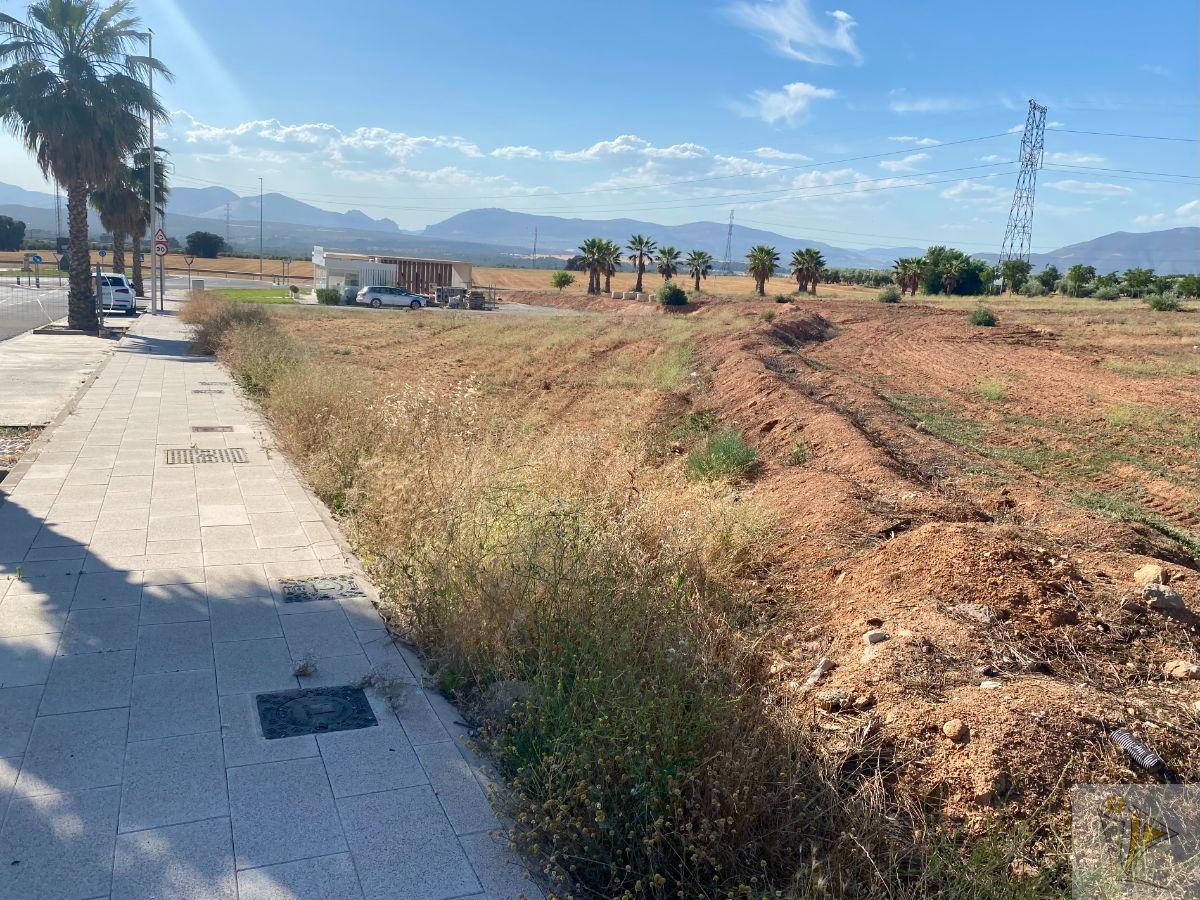 Venta de terreno en Albolote