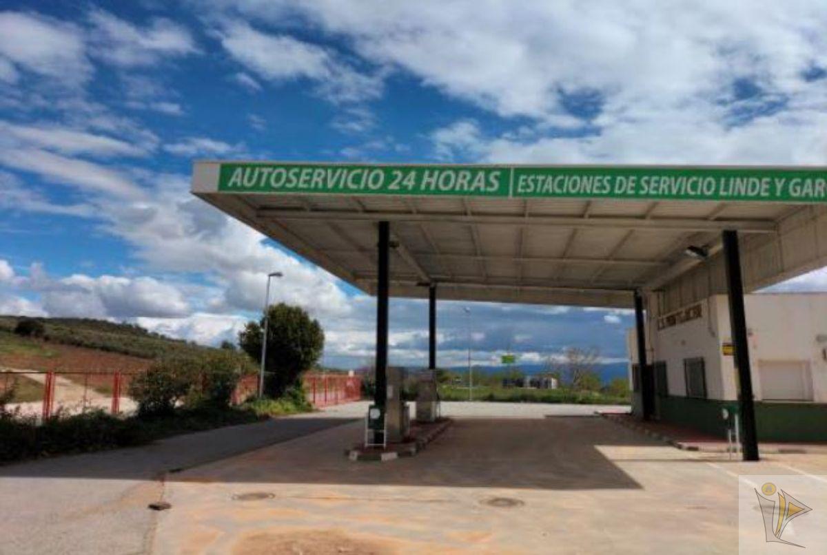 For sale of gas station in Montejícar