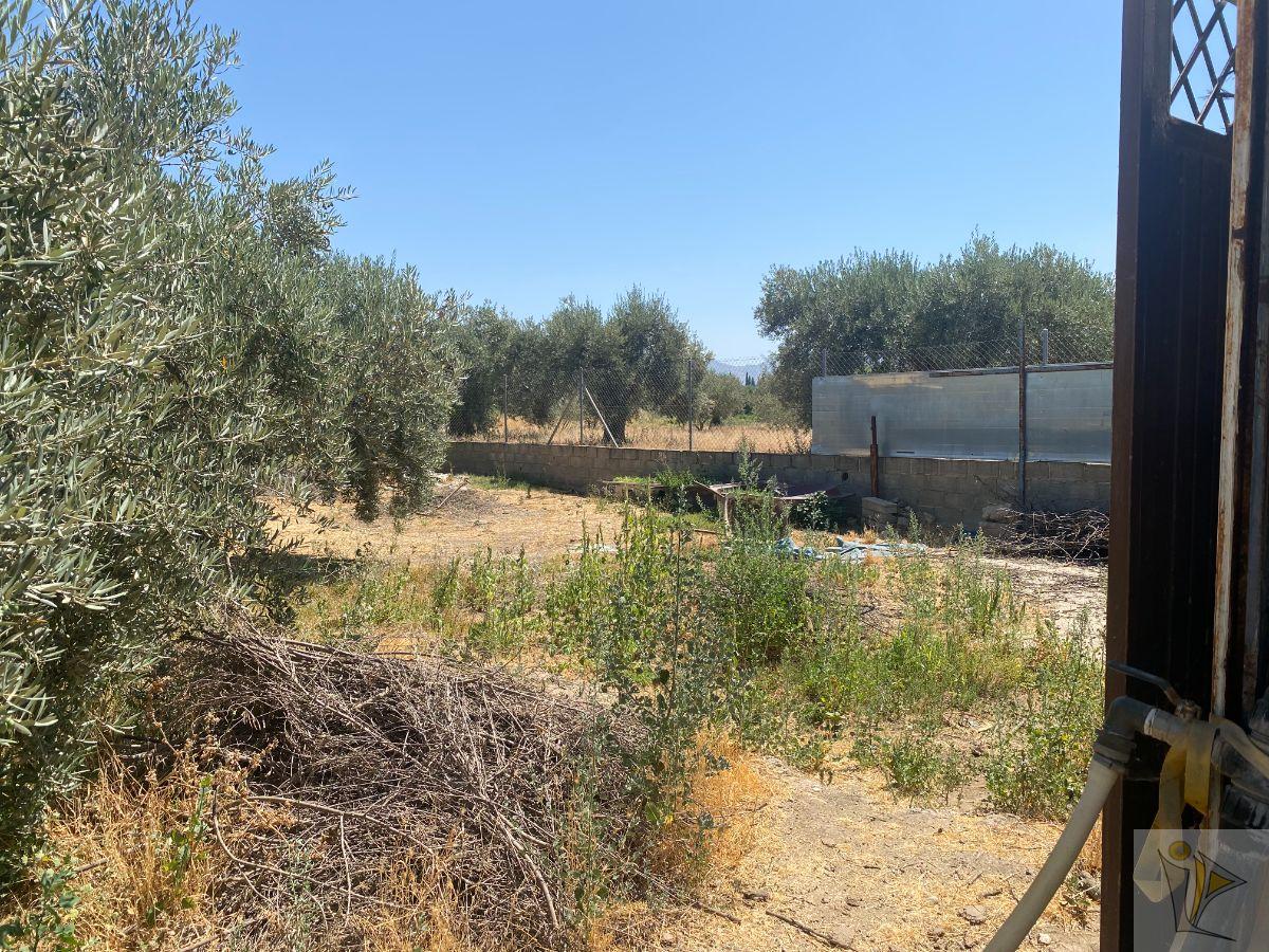 For sale of rural property in Gójar