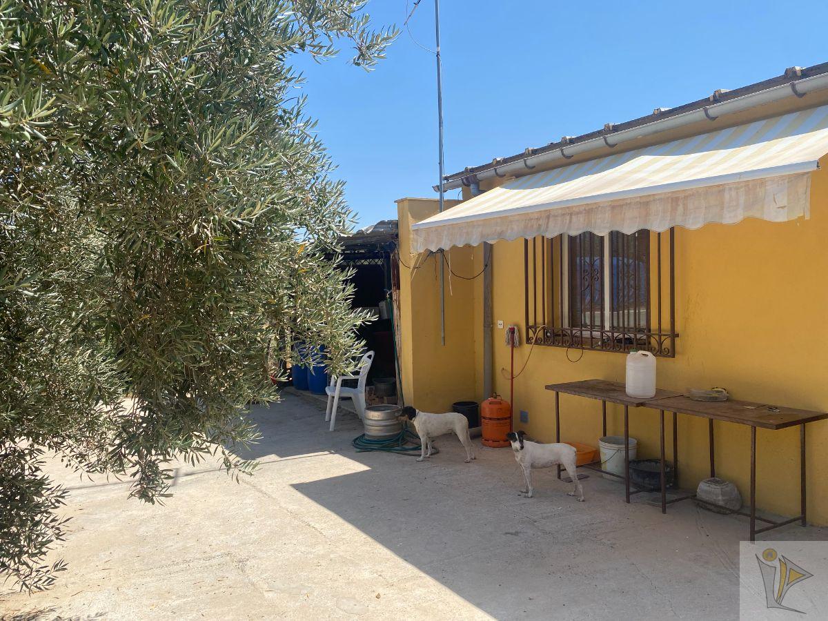 For sale of rural property in Gójar