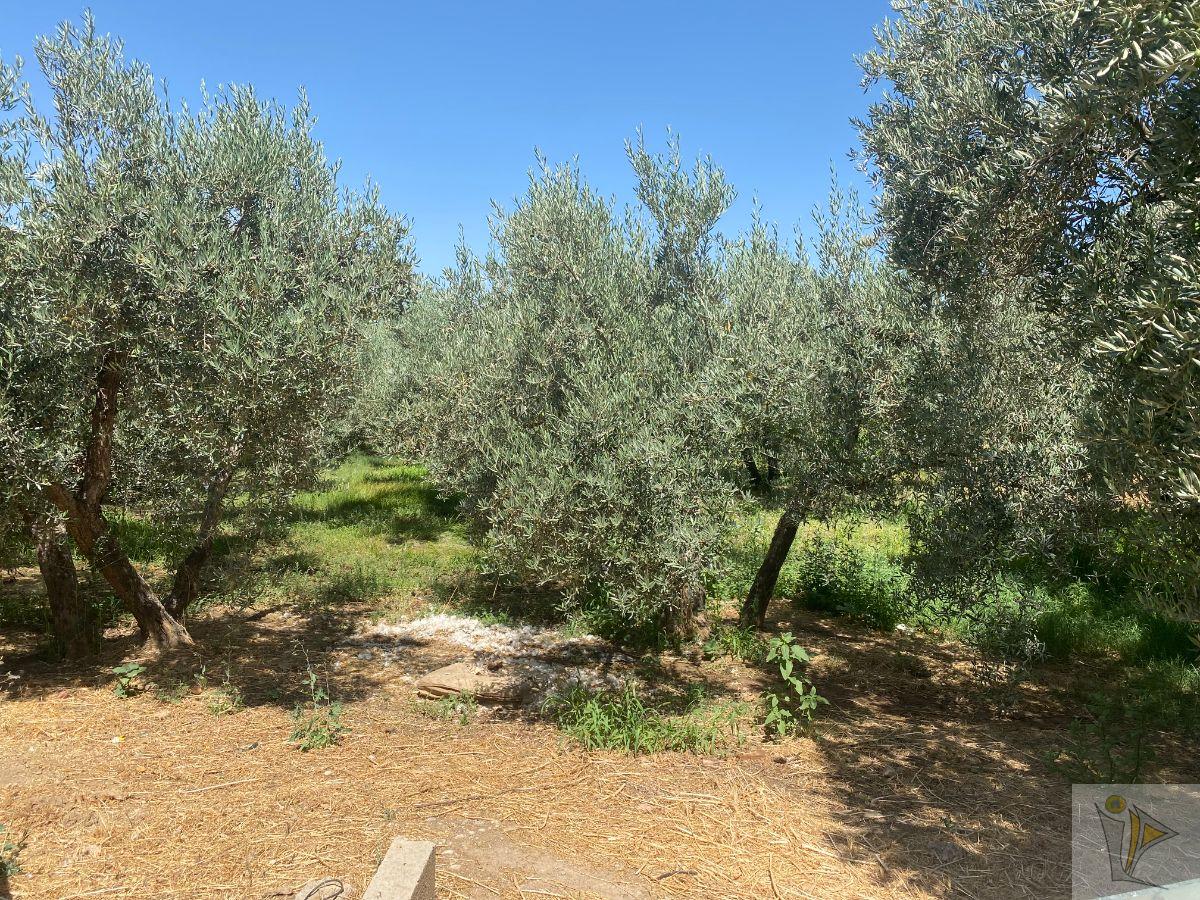 For sale of rural property in Gójar