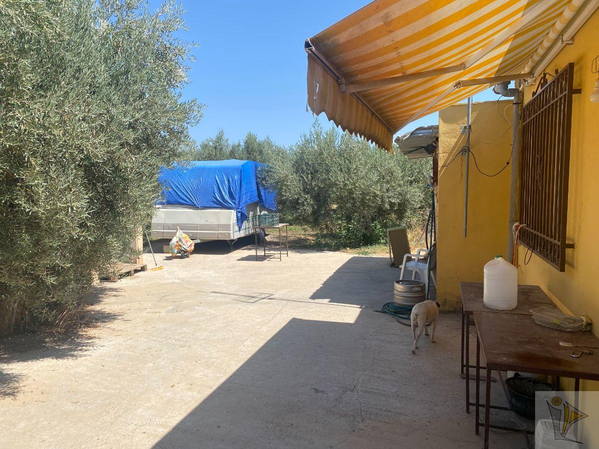 For sale of rural property in Gójar