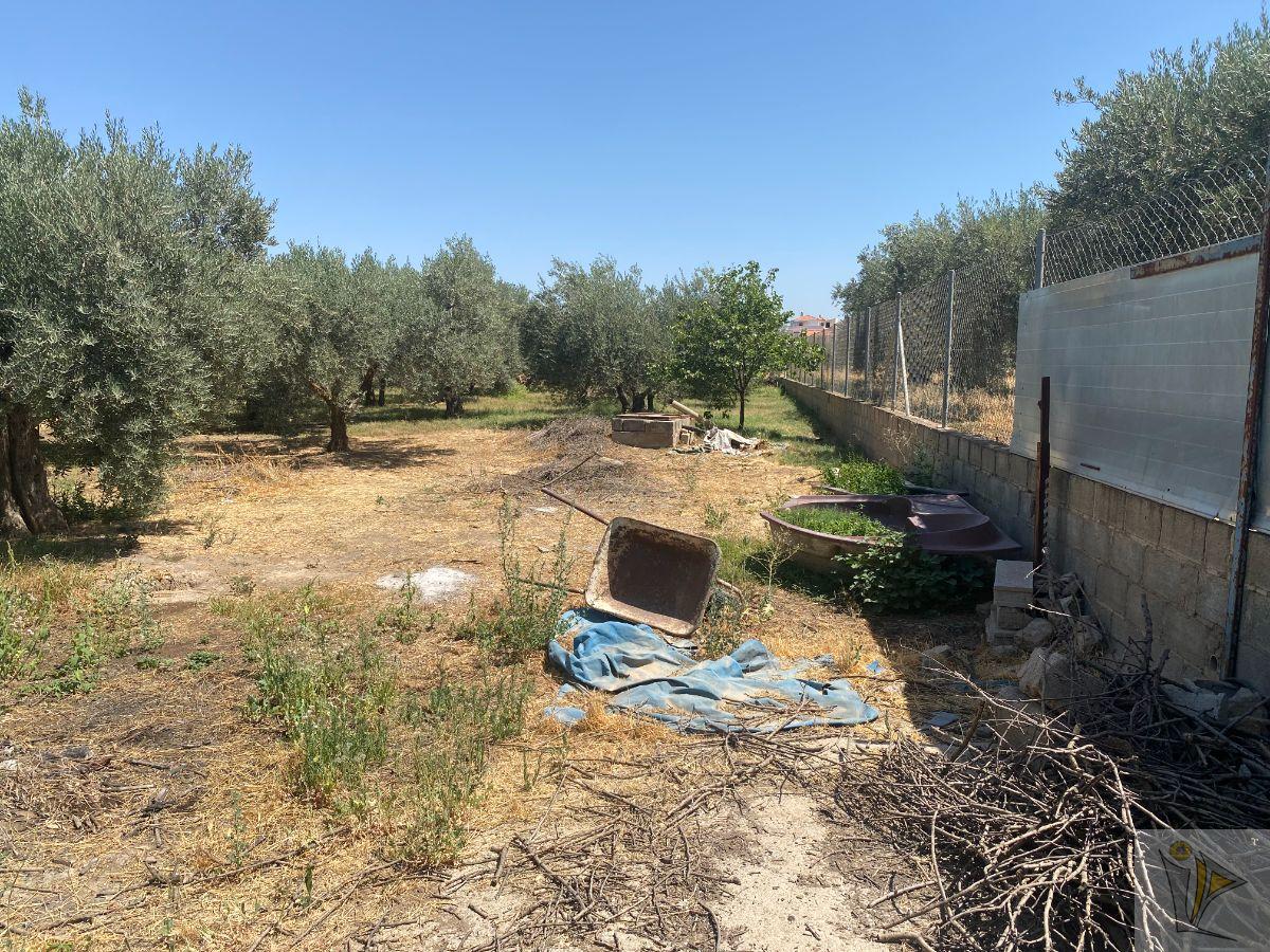 For sale of rural property in Gójar