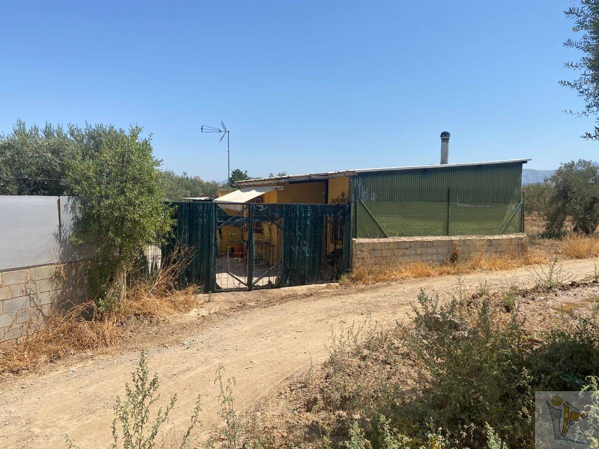 For sale of rural property in Gójar
