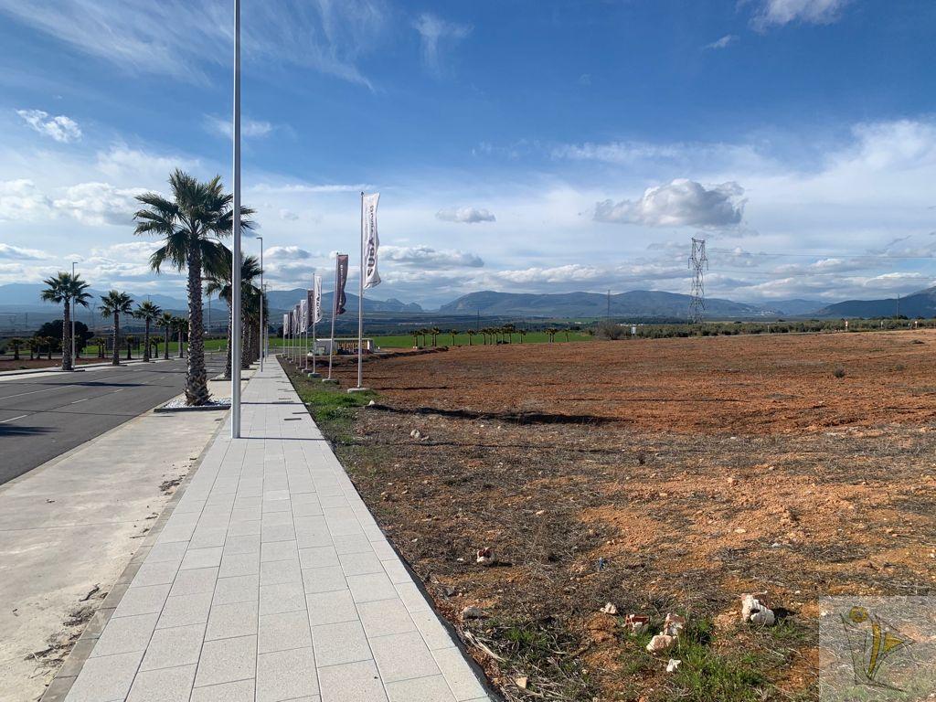 Venta de terreno en Albolote