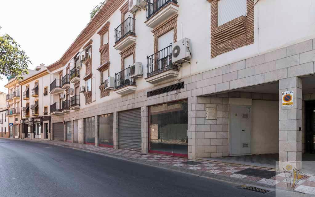 For sale of commercial in La Zubia