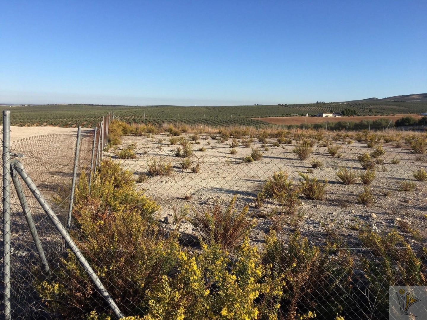Venta de terreno en Antequera