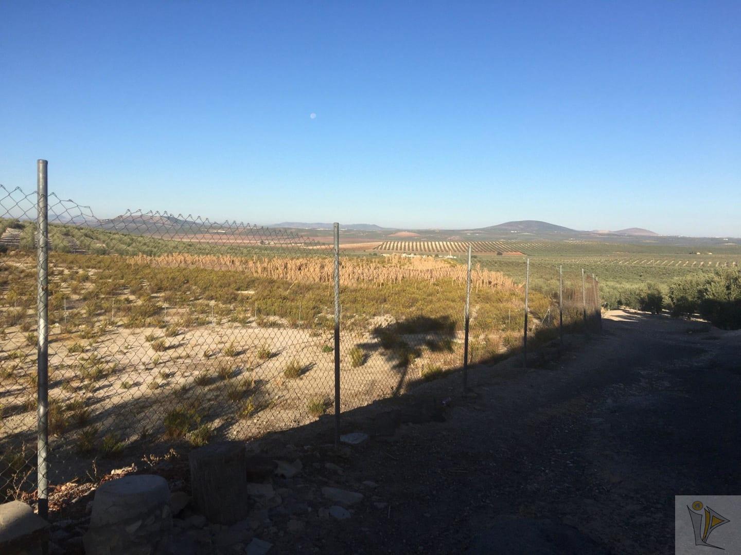 Venta de terreno en Antequera