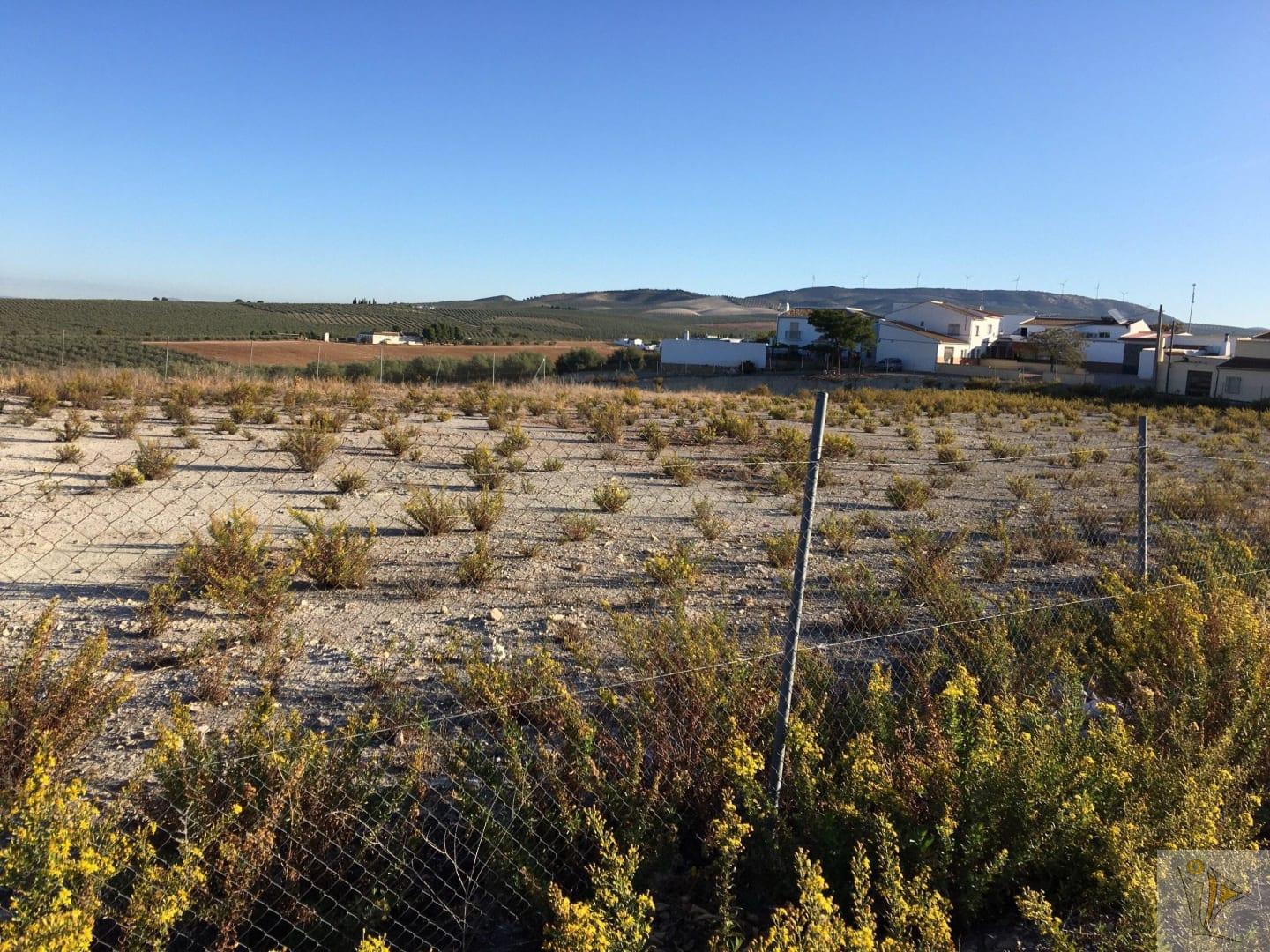 Venta de terreno en Antequera