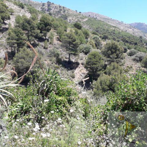 For sale of land in Mijas