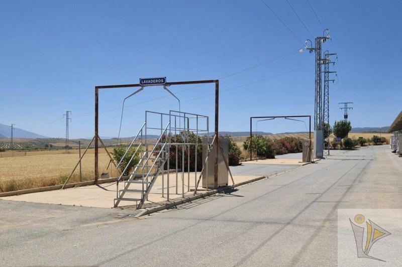For sale of land in La Malahá
