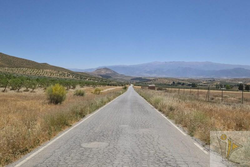 For sale of land in La Malahá