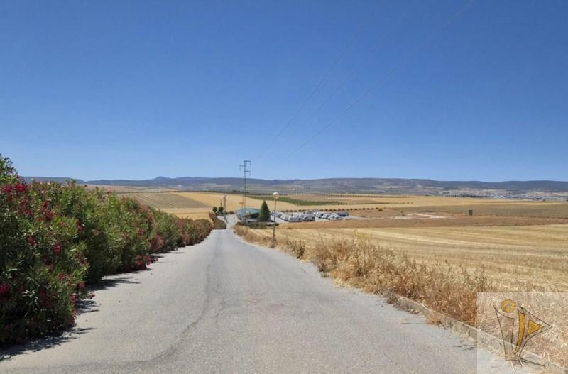 For sale of land in La Malahá