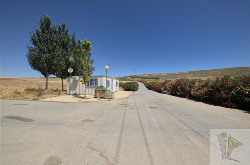 For sale of land in La Malahá