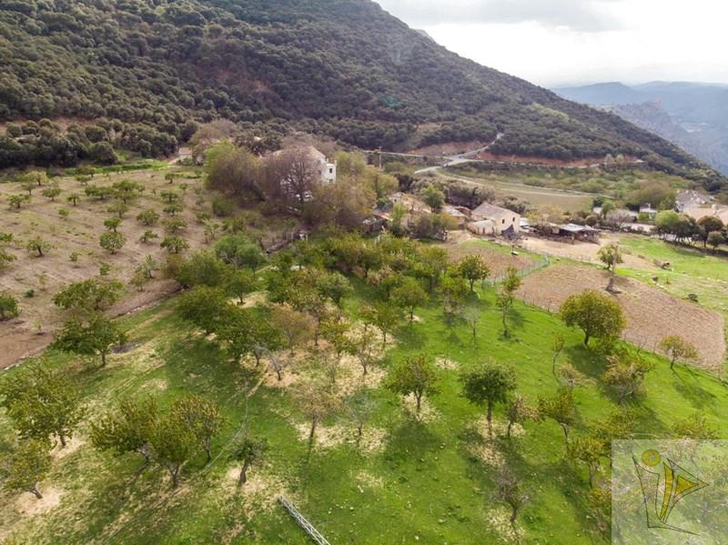 Venta de finca rústica en Güejar Sierra